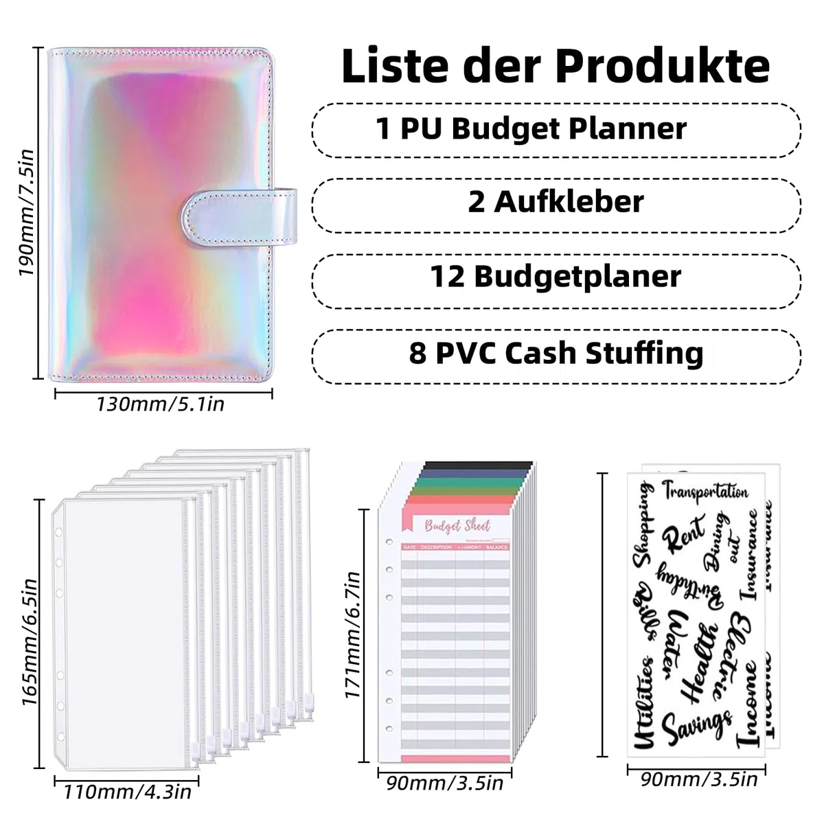 A6 Binder Budget - Taccuino per la gestione finanziaria, con 8 tasche per rilegatura, 12 fogli di budget, 2 adesivi per la categoria di budget e risparmio (laser argento)
